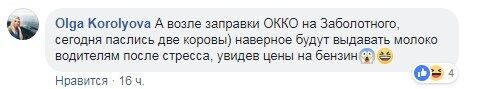 ''А где хозяин?'' В Киеве заметили необычное животное