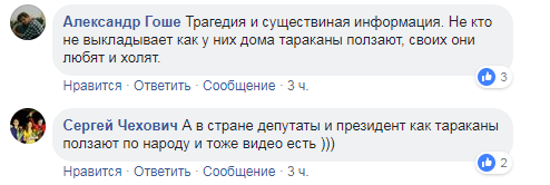 "Тараканы тоже любят сладкое": киевский супермаркет угодил в скандал