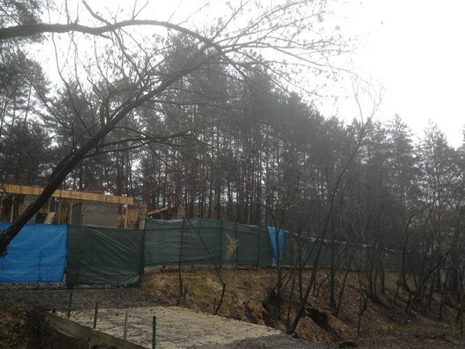 Революционное решение: в Украине за вывоз леса будут сажать в тюрьмы 