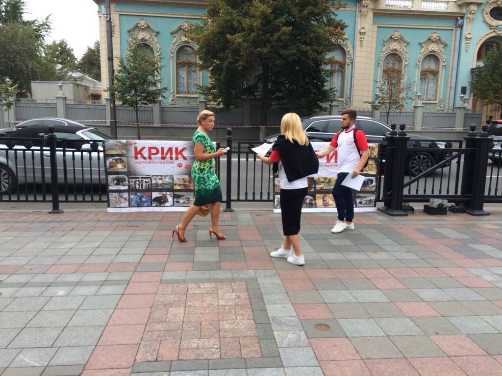 Акция против Денисенко под Радой