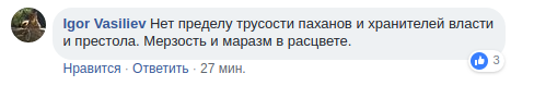 ''Совсем ополоумели!'' Фото с протестов в Санкт-Петербурге возмутило россиян 