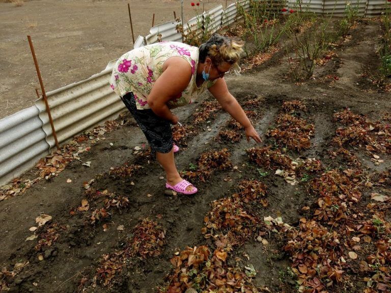 Экологическая катастрофа в Армянске. Русский мир пришел