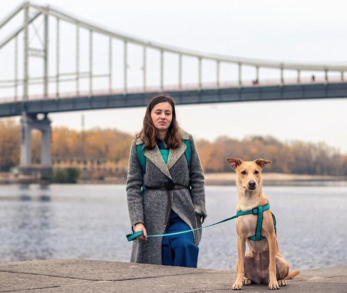 Врятована українською парою собака стала зіркою Instagram