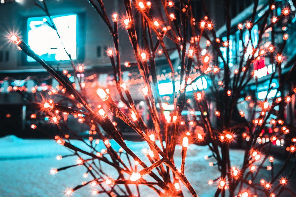 Зимний Киев: в сети появились сказочные фото ночного города