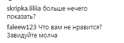 ''Ужас! Больше нечего сказать'': эротическое фото Каменских поссорило пользователей сети