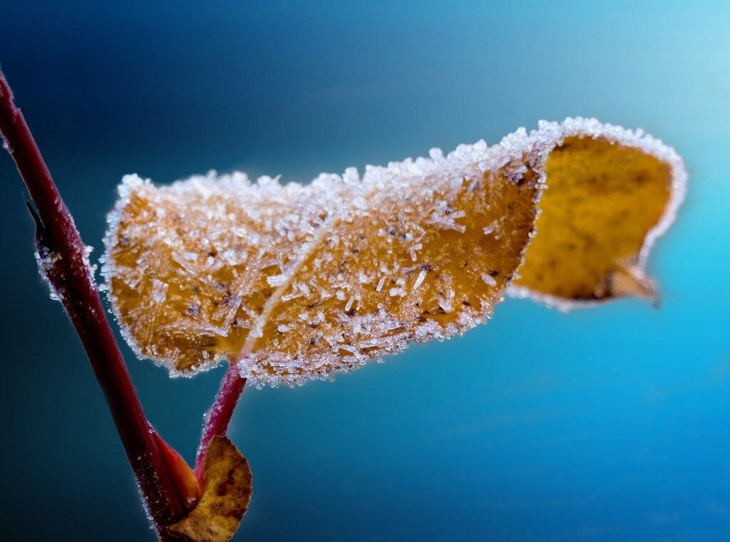 Ілюстрація