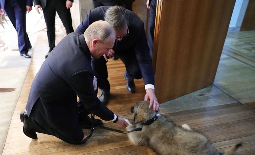 Звуть Паша: президент Сербії зробив Путіну несподіваний подарунок