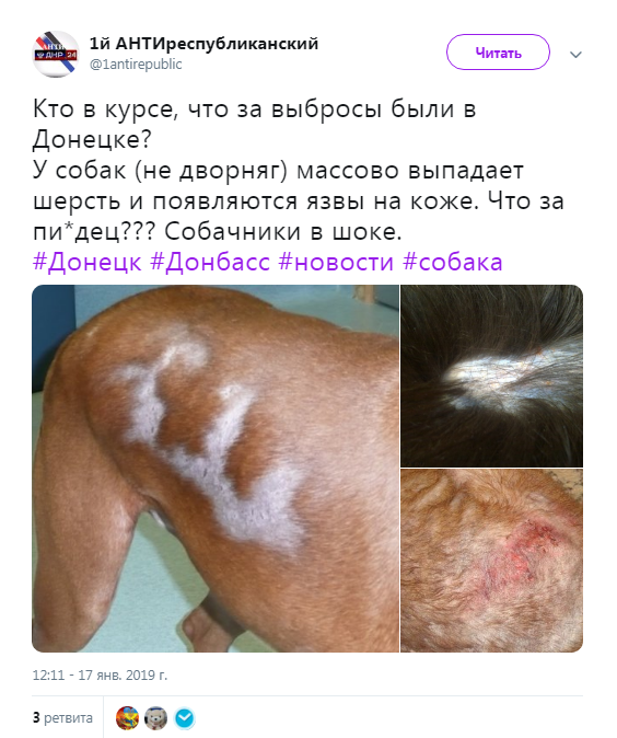 Язвы на коже: в Донецке забили тревогу из-за неизвестных выбросов. Фотофакт