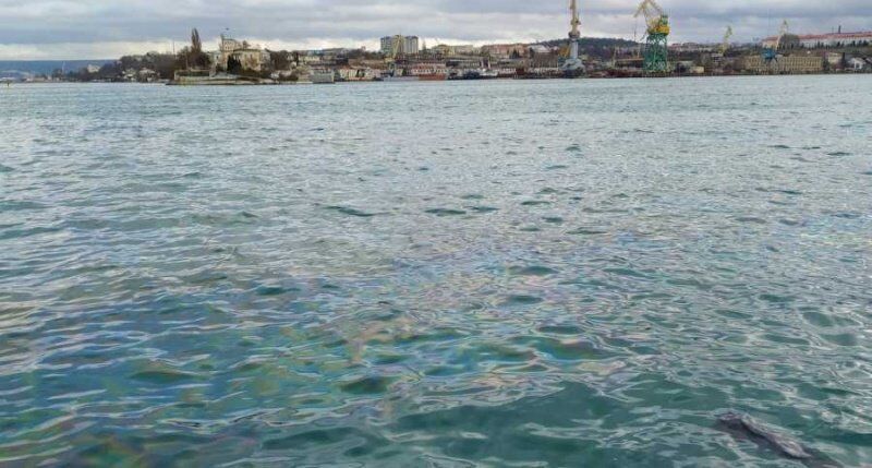 Оккупированный Севастополь настигла экологическая катастрофа: в сеть попали фото