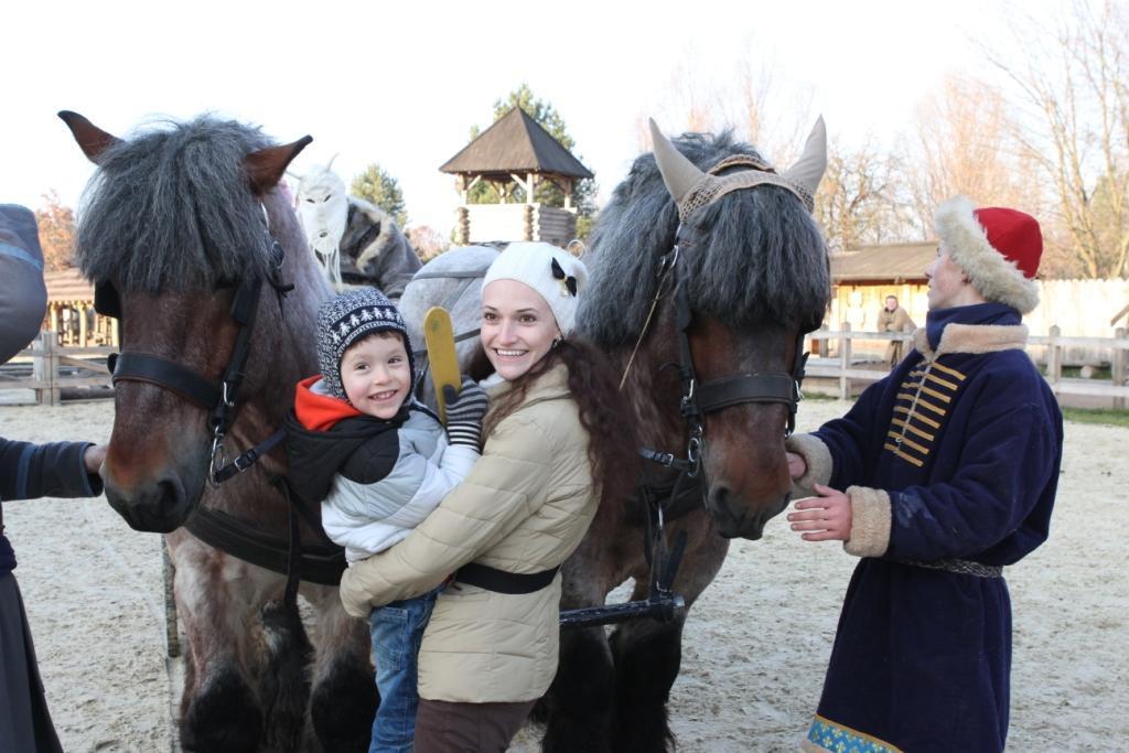 Под Киевом пройдет шоу-выставка лошадей