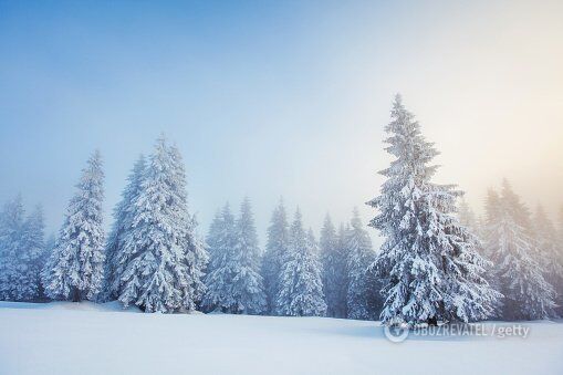 ''Батько знайшов її у ямі'': скандальні подробиці страшної загибелі студентки на Житомирщині