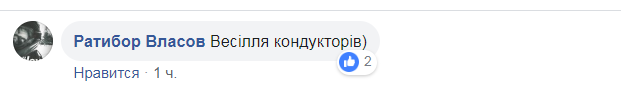 Свадебный "кортеж" в Киеве впечатлил сеть