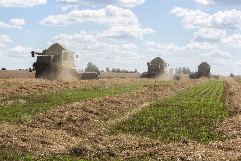 Проблема зневоднення ґрунту на півдні України вирішувана - Укрлендфармінг