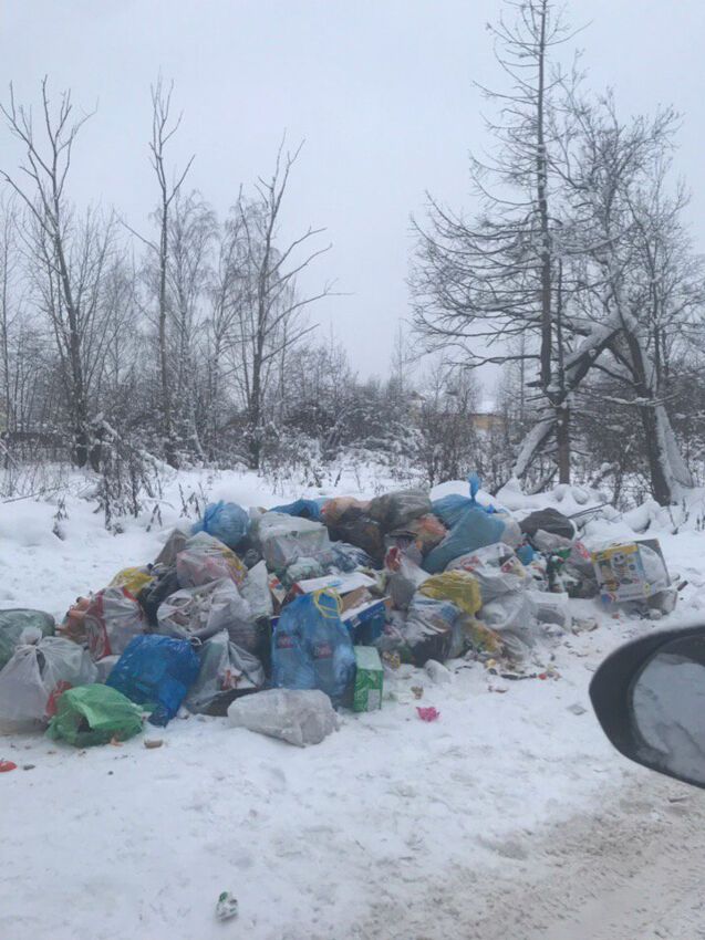 Сміттєвий колапс в РФ перетворив міста на сміттєзвалища