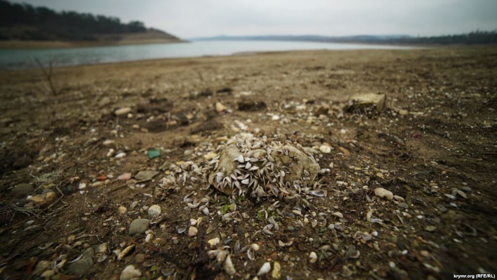 Симферопольское водохранилище