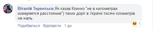 ''Ямы по 40 см!'' Сеть шокировали дороги в Карпатах