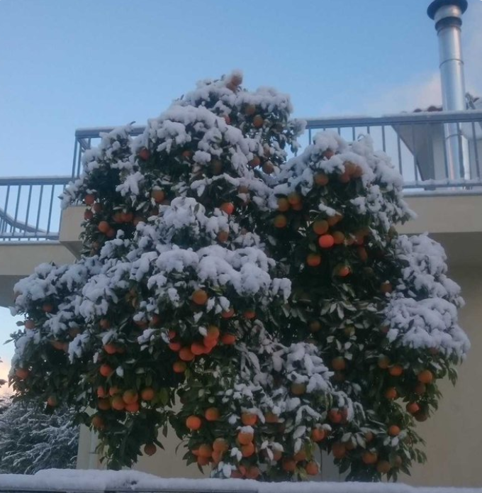 Рекордний снігопад вперше за зиму накрив Грецію: вражаючі фото і відео