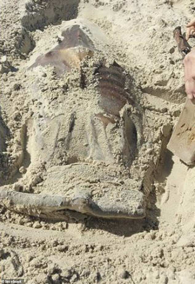 В Австралии нашли неизвестные останки