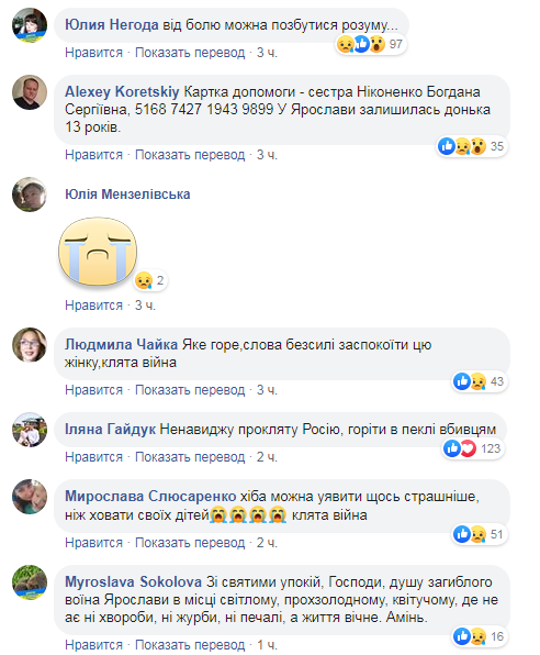 "VIP-клиенты подкатили": в Крыму на пляже заметили диких "туристов". Фото