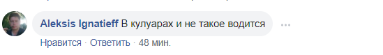 "В Раду пришел черный песец": в сеть попало курьезное видео из парламента