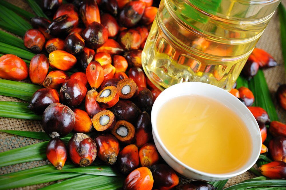 Пальмовое масло - польза или вред