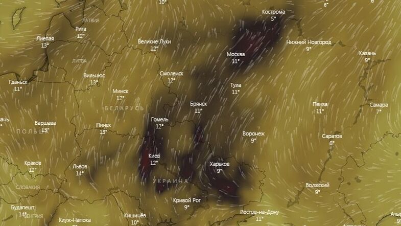 Украину накрыла паника из-за дыма и грязного воздуха: синоптик все объяснила