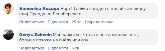 Какао з тарганами: популярна піцерія Києва потрапила в гучний скандал. Фотофакт