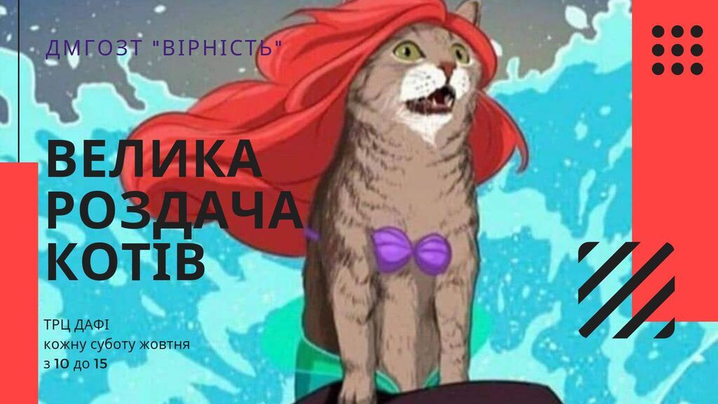 Де в Дніпрі на вихідних безкоштовно зробити фото із зіркою, подивитися кіно і випити кави