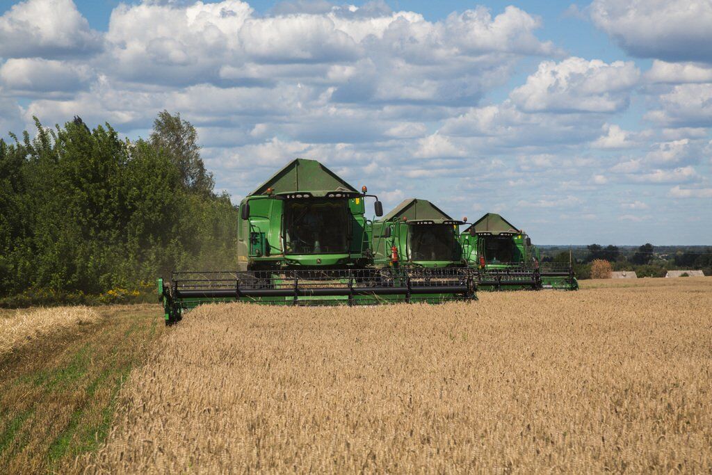 "Укрлендфарминг" закончил посев озимой пшеницы