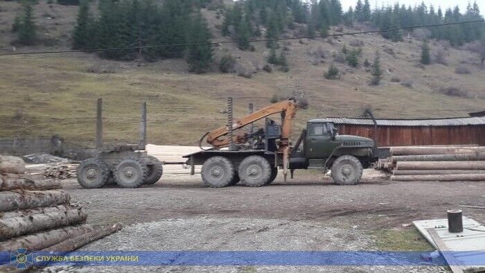 СБУ викрила велику схему експорту лісу