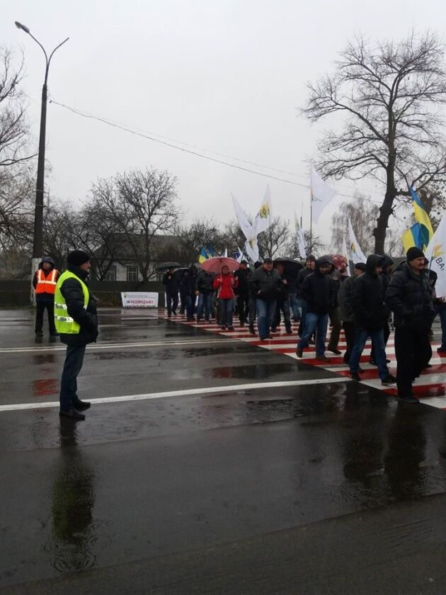 В Україні пройшли масштабні мітинги проти ринку землі