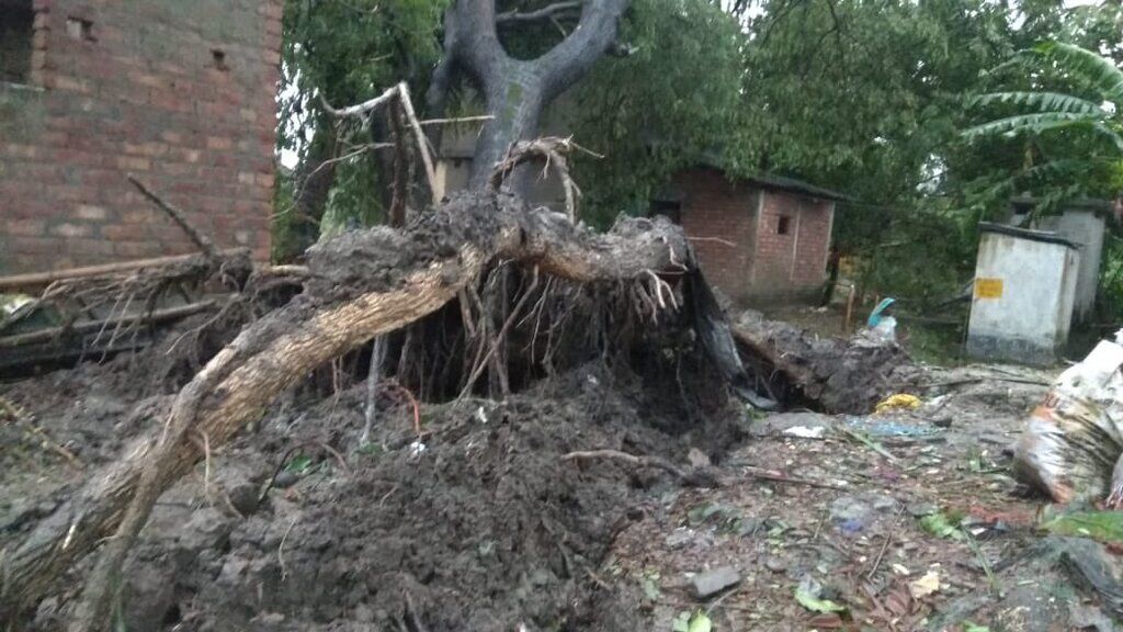 Індію та Бангладеш накрив циклон "Бульбуль"