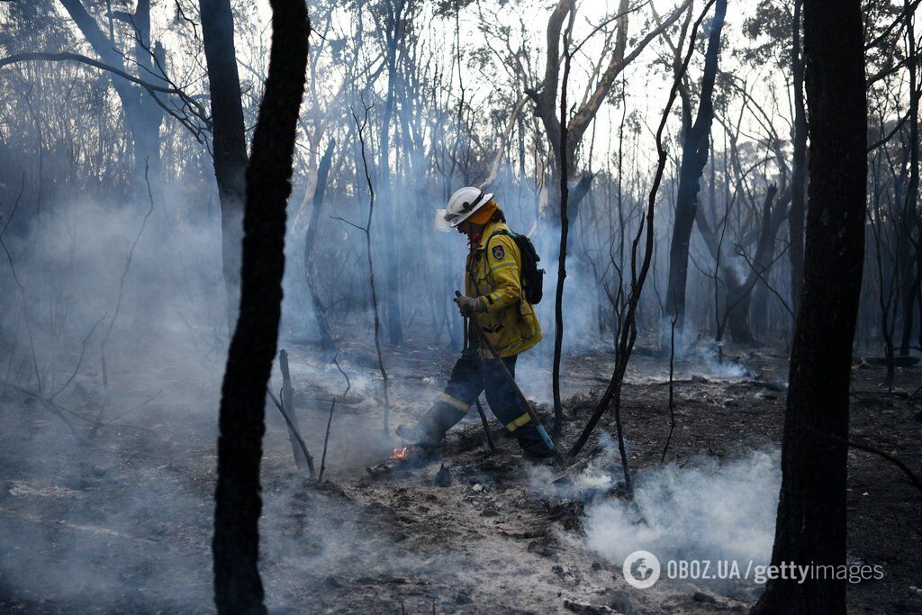 Лесные пожары в Австралии