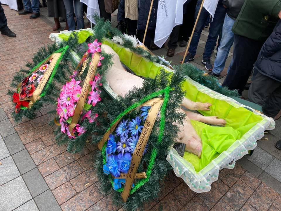 Принесли свинью в гробу: националисты заблокировали Раду. Фото и видео