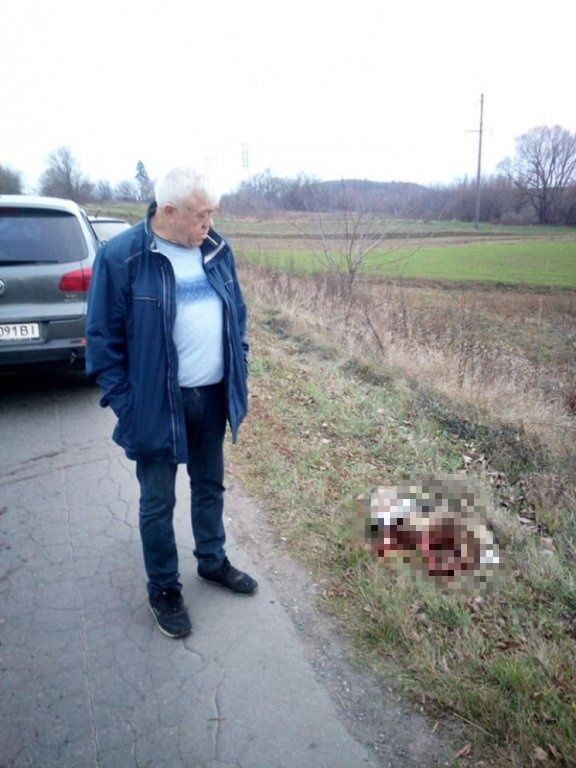 Украинский чиновник 1,5 километра тащил на цепи пса за автомобилем