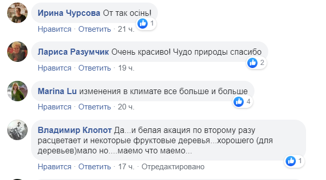 В Одесской области зацвела сирень