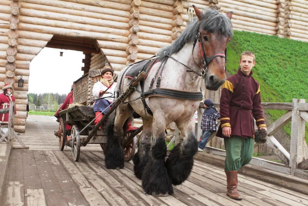 На Киевщине оживут древние традиции встречи зимы
