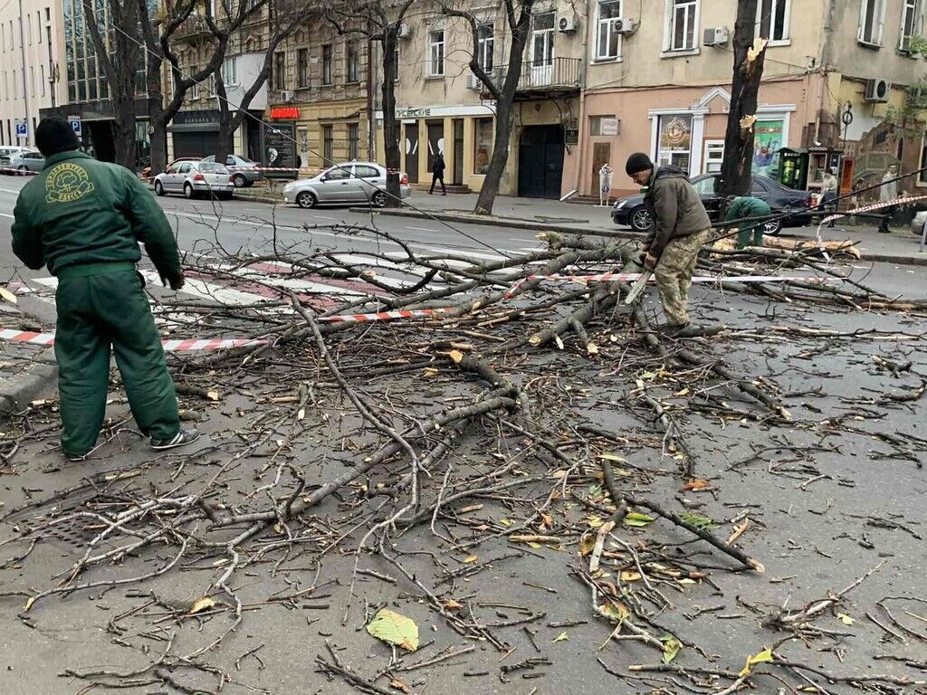 В Одессе штормовой ветер валит деревья