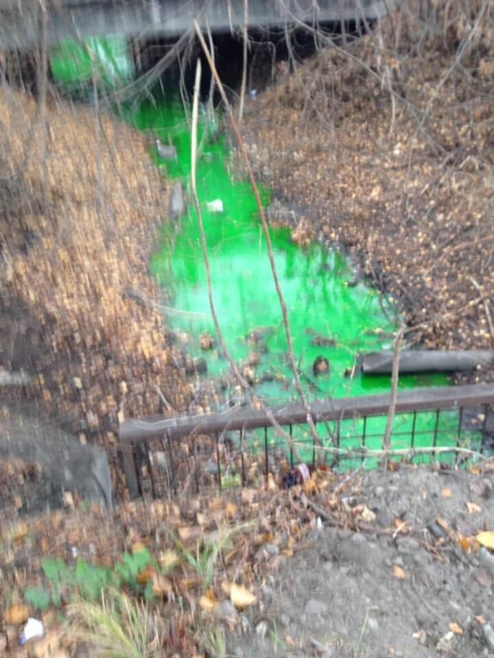 На лівому березі Києва річка Дарниця раптово забарвилася у зелений колір