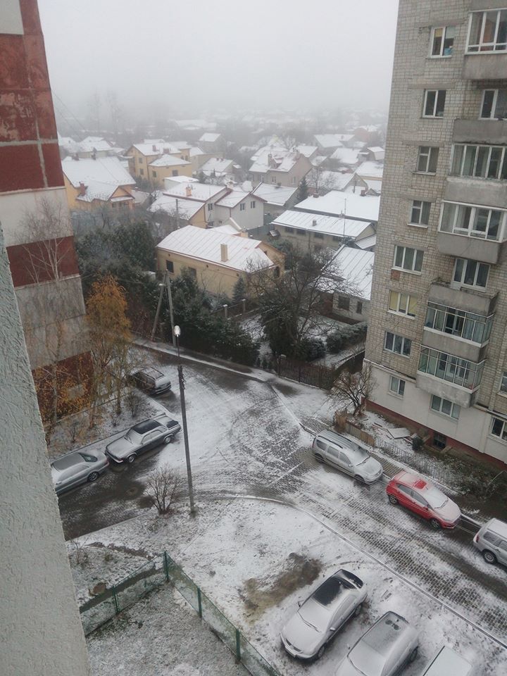 У Львівській області випав перший сніг