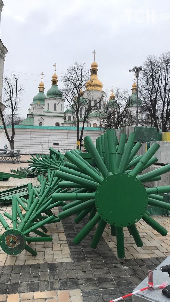 Праздничное дерево соберут из веток сосны и пихты из Винницкой и Житомирской областей