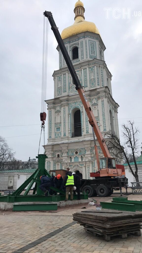 Праздничное дерево соберут из веток сосны и пихты из Винницкой и Житомирской областей