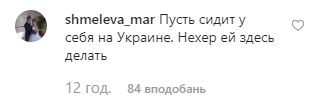 "Заганяють за прапорці": Басков різко висловився про цькування Ротару