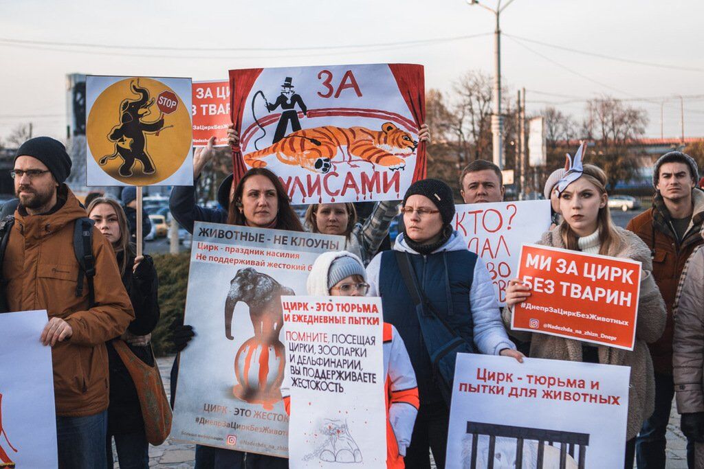 Под днепровским цирком прошла масштабная акция протеста: фото