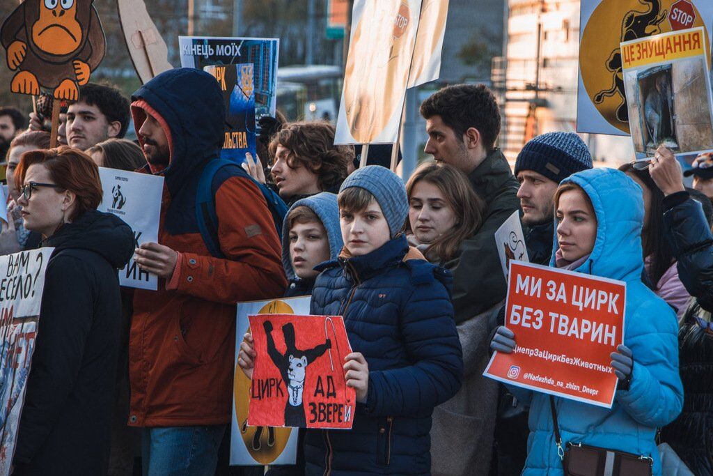 Под днепровским цирком прошла масштабная акция протеста: фото