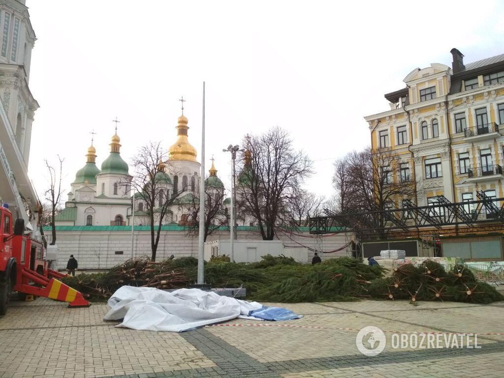 В Киеве начали устанавливать елку