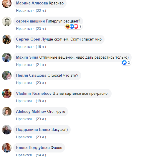 "Гиперлуп расцвел": сеть шокировали грибы в вагоне "Укрзалізниці"