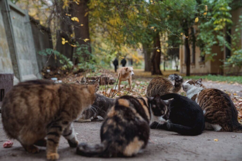 Теплый ноябрь: красоты осенней Одессы