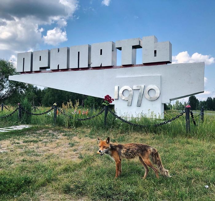 Зона відчуження сьогодні