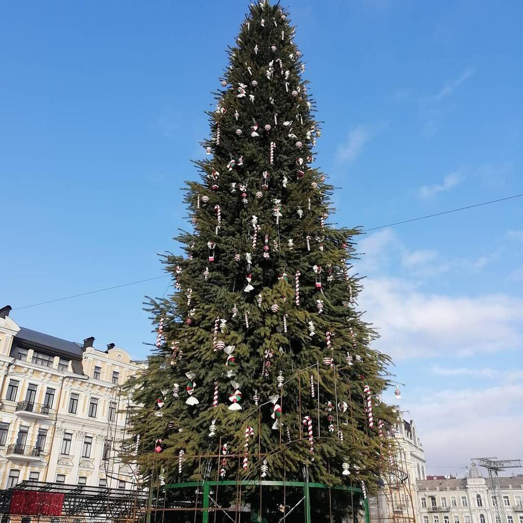 Новогодняя елка в Киеве